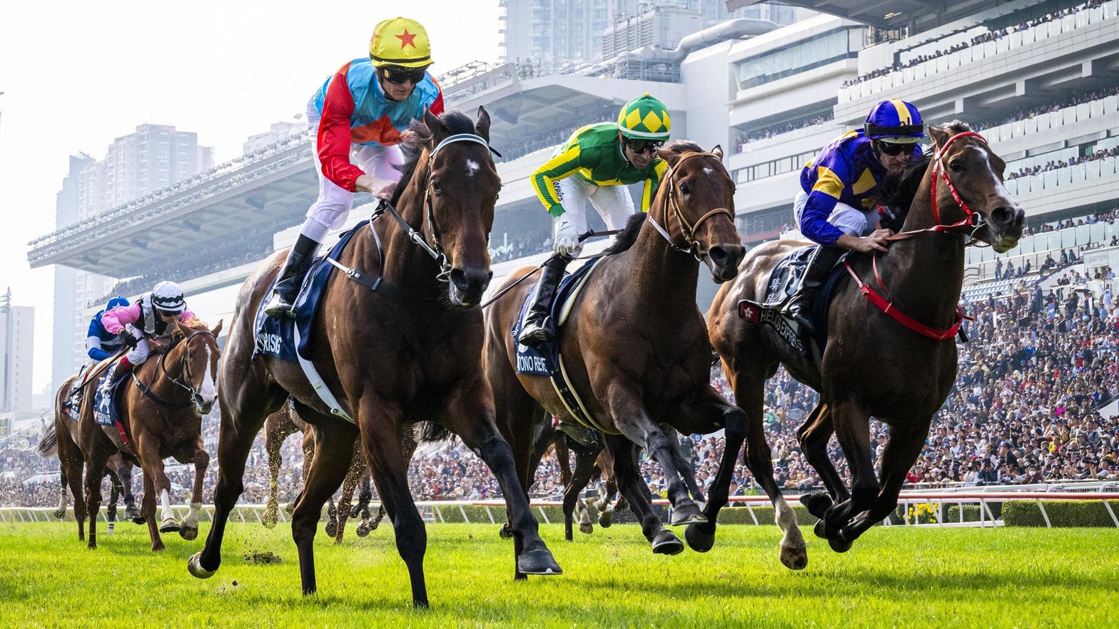 Horses racing at Sha Tin