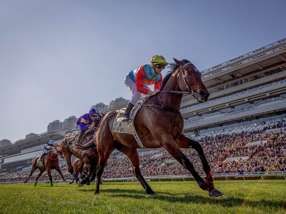 Close racing action at Sha Tin Racecourse